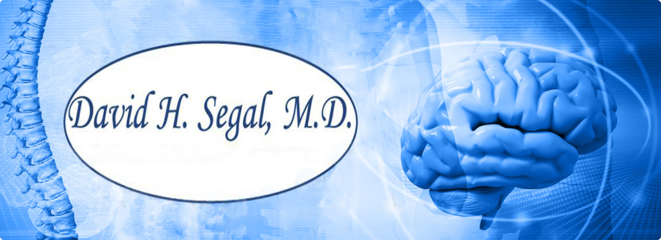 dr segal logo